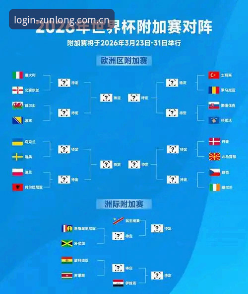 2026世界杯观赛体验全面评测：签证危机下的球迷困境与平台实战指南
